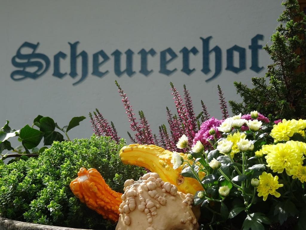 Scheurerhof Apartment ทักซ์ ห้อง รูปภาพ